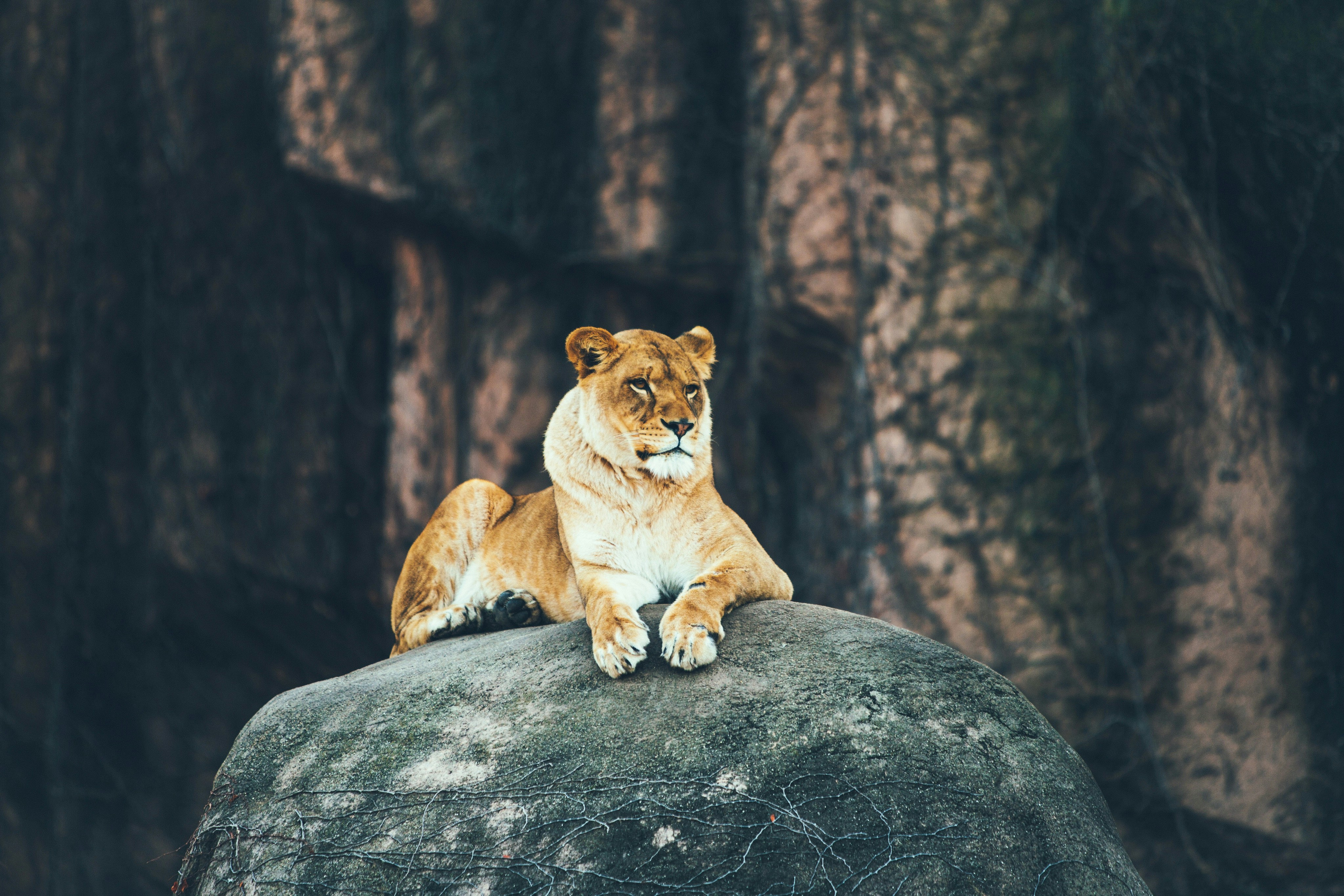 Permission to Do Less: Unlearning Productivity Culture and Embracing Rest