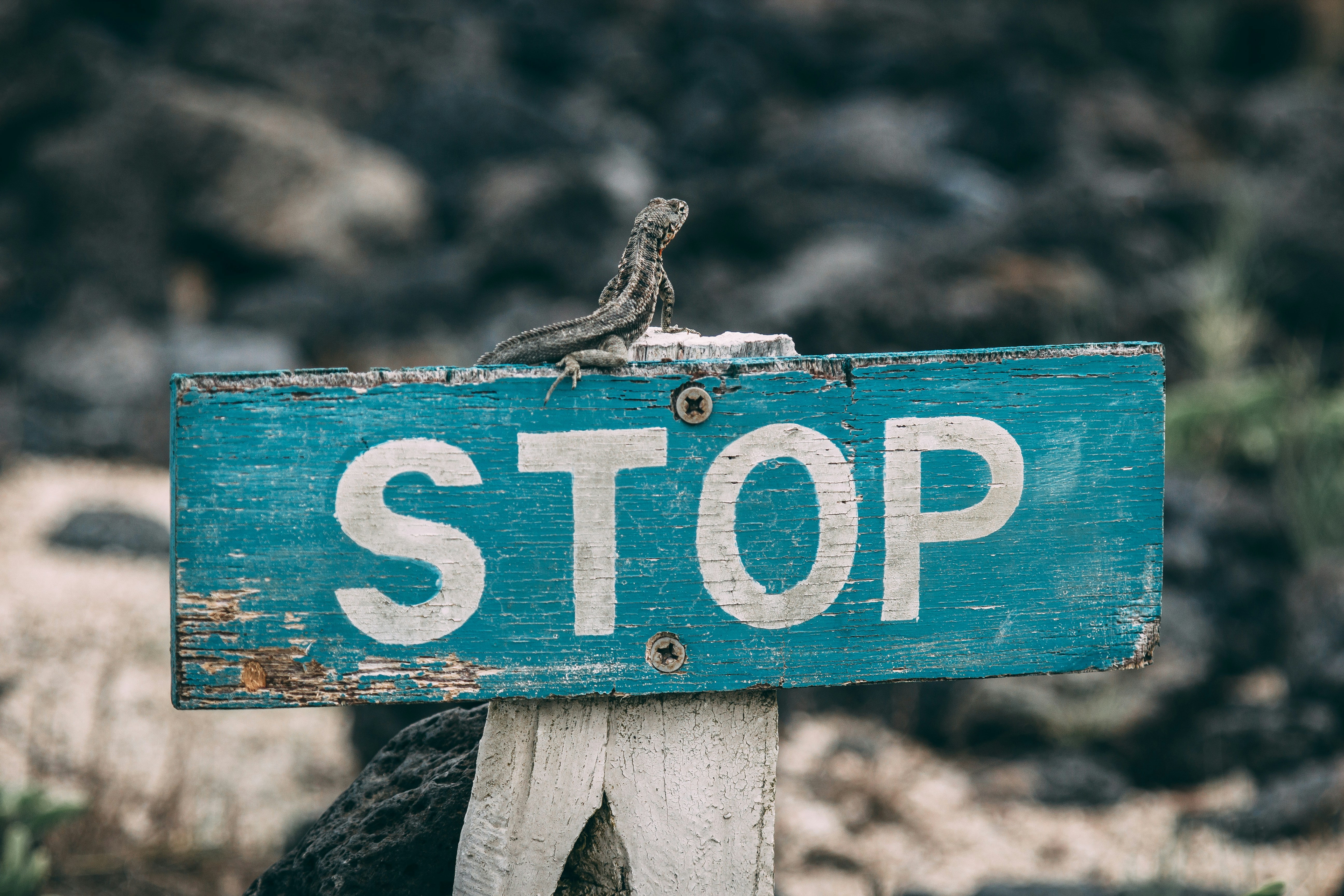 The Sacred No: Working with Boundaries and Capacity