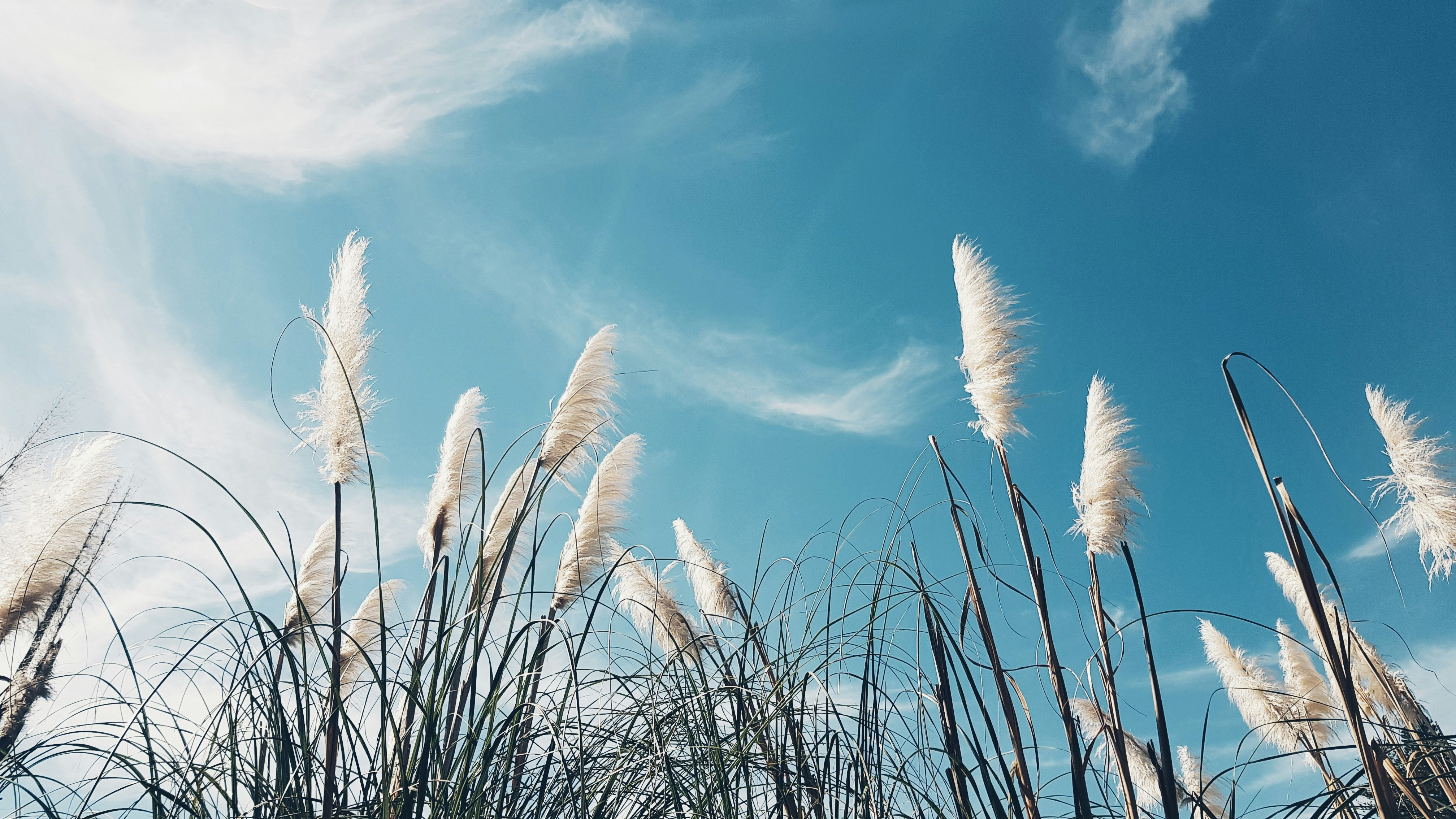 When Breathwork Backfires: Why Controlled Breathing Isn’t Calming for Everyone