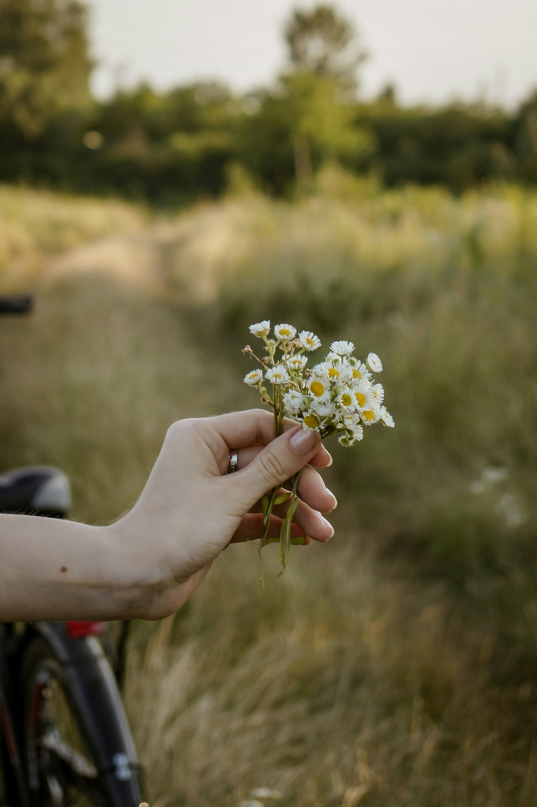 Hands in the Dirt: A Way Through Existential Dread